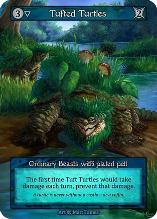 Tufted Turtles - Alpha