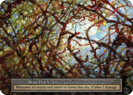 Briar Patch (Foil) - Arthurian Legends Foil