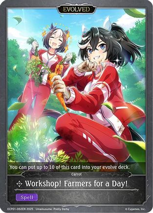 Workshop! Farmers for a Day! (Evolved)