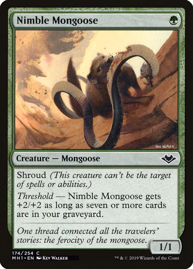 Nimble Mongoose [Modern Horizons] Foil