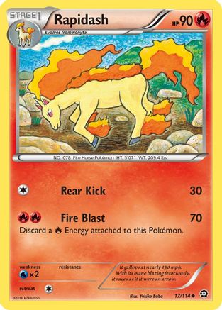 Rapidash (17/114) [XY: Steam Siege] Reverse Holofoil