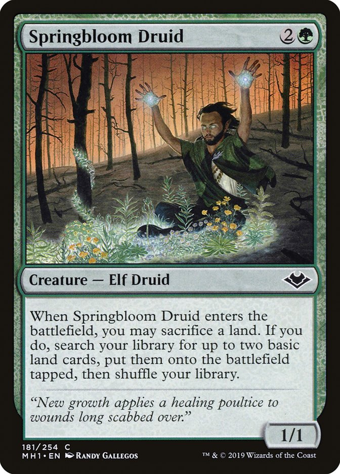 Springbloom Druid [Modern Horizons] Foil