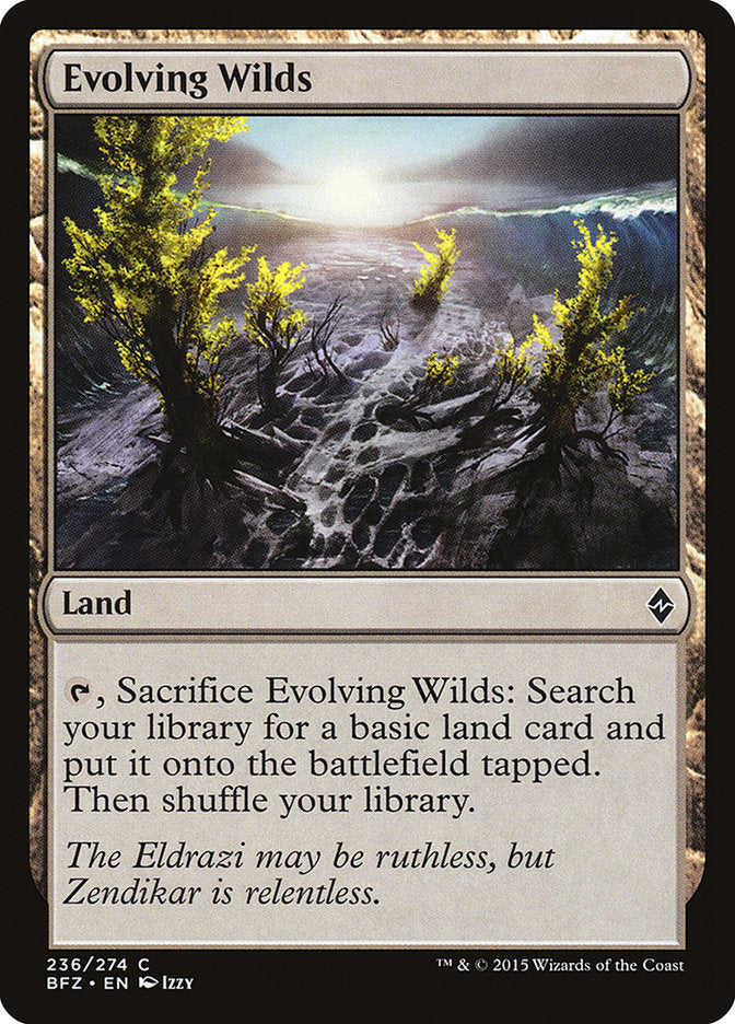 Evolving Wilds [Battle for Zendikar] Foil