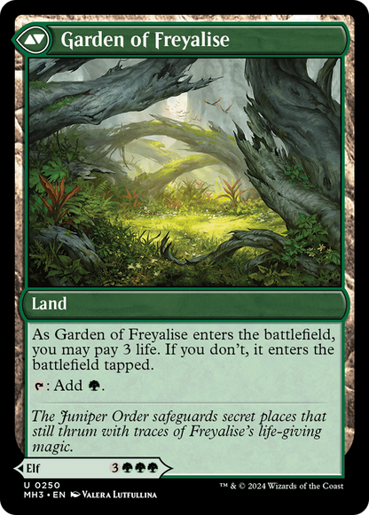 Disciple of Freyalise [Modern Horizons 3] Foil