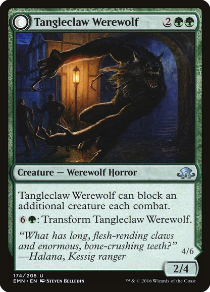 Tangleclaw Werewolf // Fibrous Entangler [Eldritch Moon] Foil