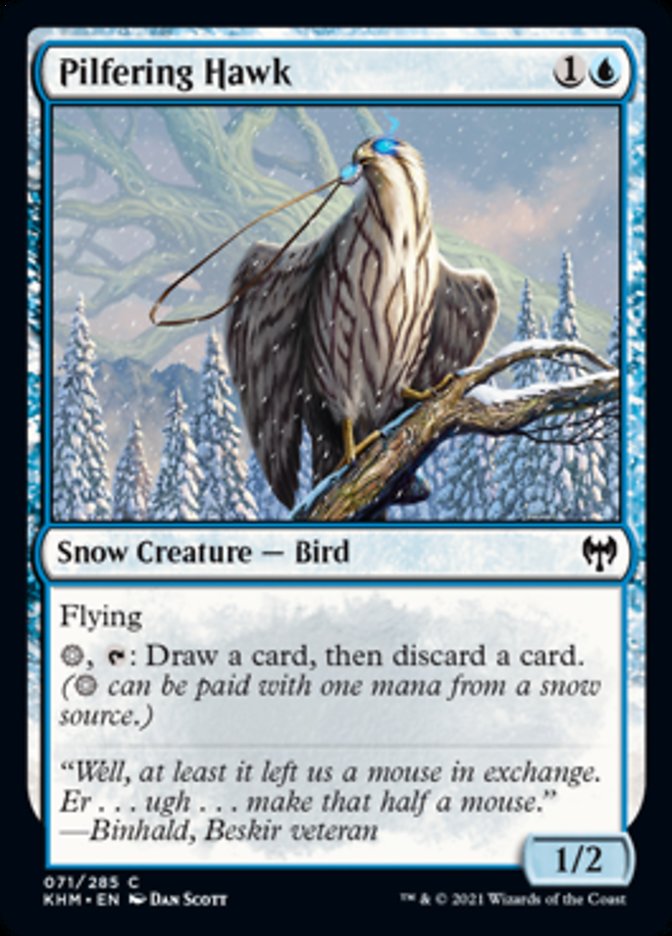 Pilfering Hawk [Kaldheim] Foil