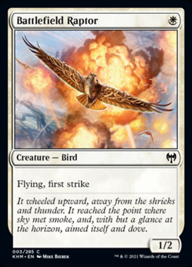 Battlefield Raptor [Kaldheim] Foil