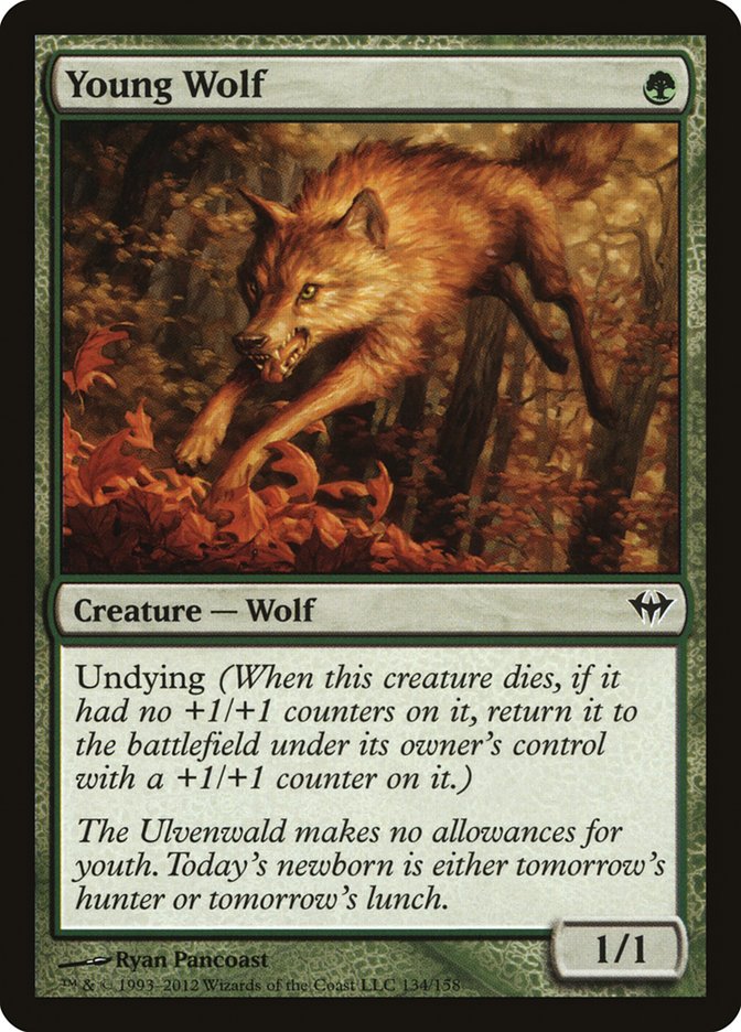 Young Wolf [Dark Ascension] Foil