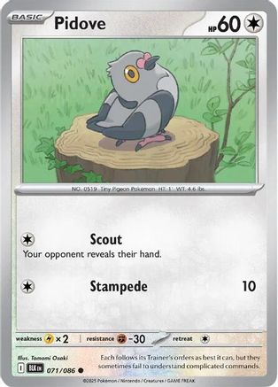 Pidove (073/086) [Scarlet & Violet: Black Bolt] Reverse Holofoil