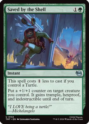 Saved by the Shell  [Teenage Mutant Ninja Turtles]