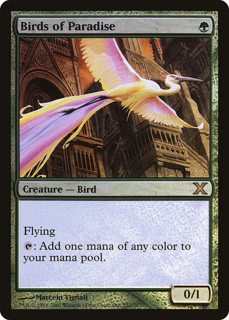 Birds of Paradise  [Tenth Edition] Foil