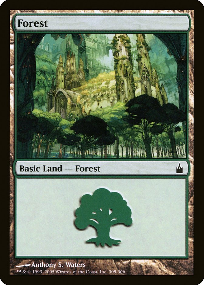 Forest (305) [Ravnica: City of Guilds] Foil
