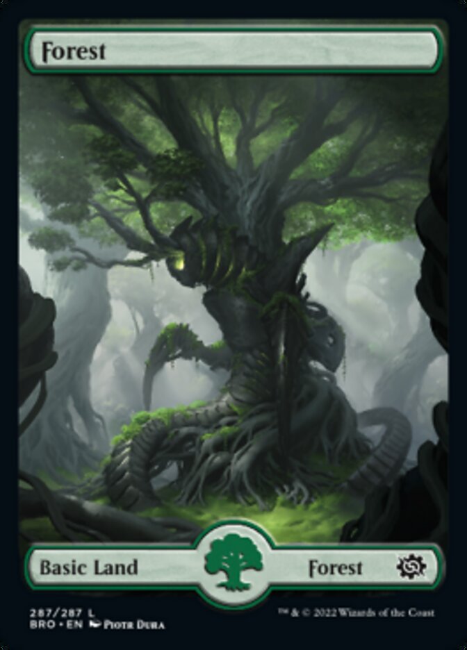 Forest (287) [The Brothers' War] Foil
