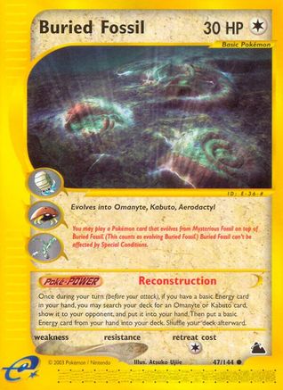 Buried Fossil (47/144) [Skyridge] Reverse Holofoil
