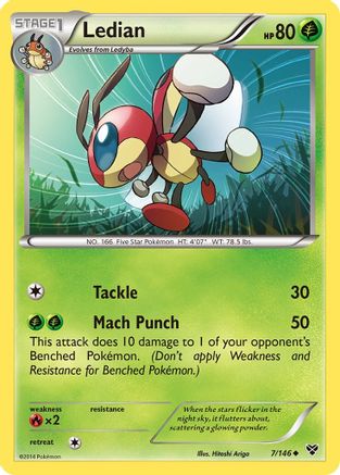 Ledian (7/146) [XY: Base Set] Reverse Holofoil
