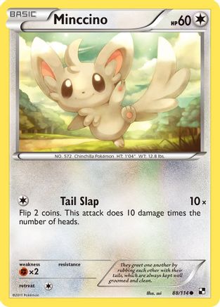 Minccino (88/114) [Black & White: Base Set] Reverse Holofoil