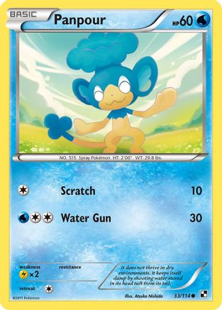 Panpour (33/114) [Black & White: Base Set] Reverse Holofoil