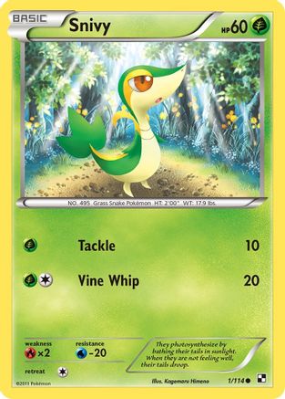 Snivy (1/114) [Black & White: Base Set] Reverse Holofoil