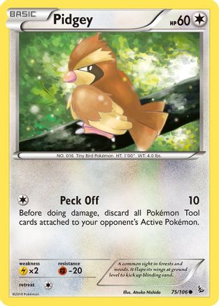 Pidgey (75/106) [XY: Flashfire] Reverse Holofoil
