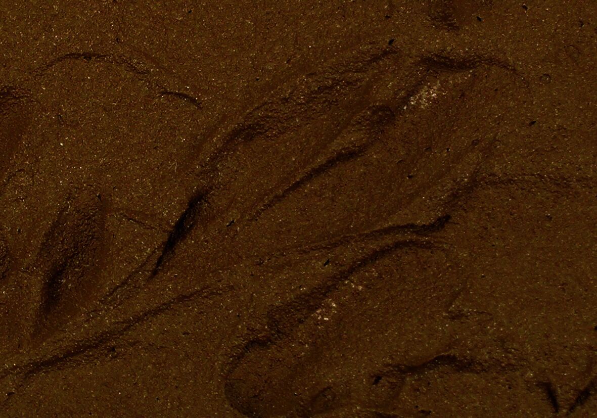 Vallejo Diorama FX Earth Textures Brown Earth 200ml