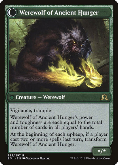 Sage of Ancient Lore // Werewolf of Ancient Hunger [Shadows over Innistrad] Foil