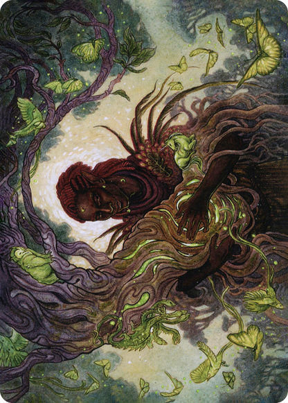 Circle of Dreams Druid // Circle of Dreams Druid  [Adventures in the Forgotten Realms Art Series] (Borderless) Foil